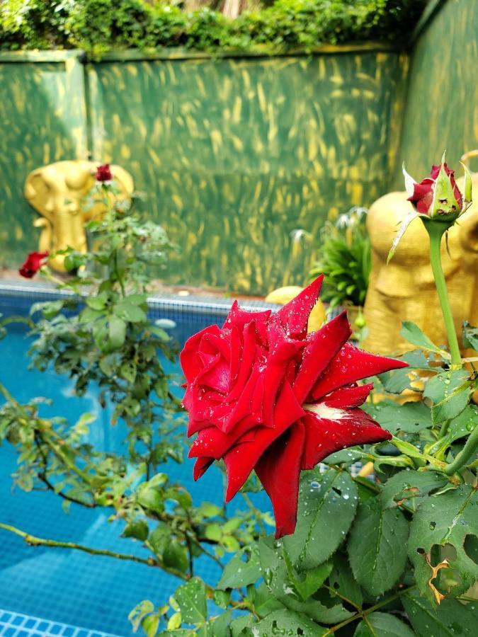 Parent Heritage Angkor Villa Сием Реап Екстериор снимка